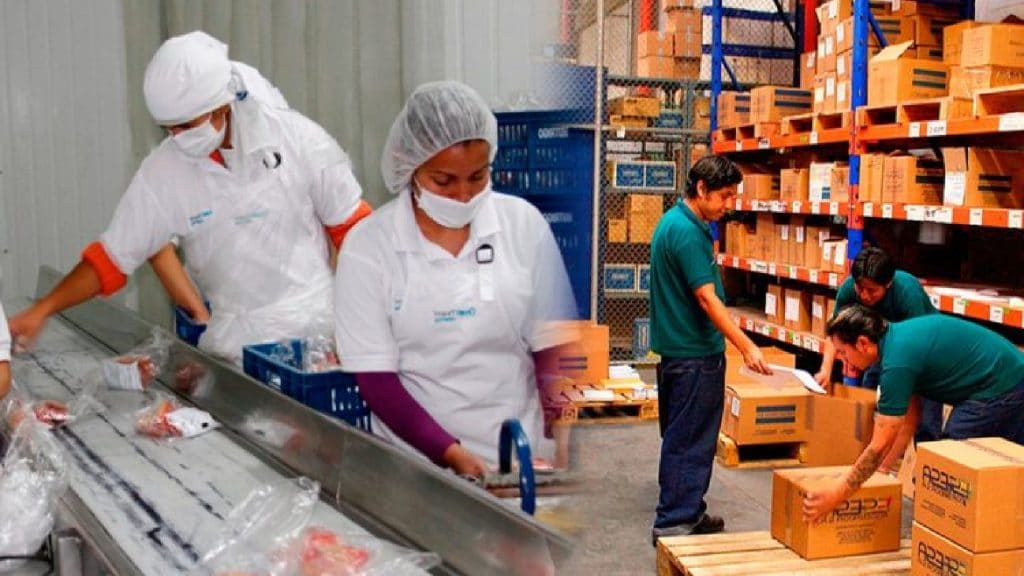 1.308 ofertas de trabajo de OPERARIO encontradas